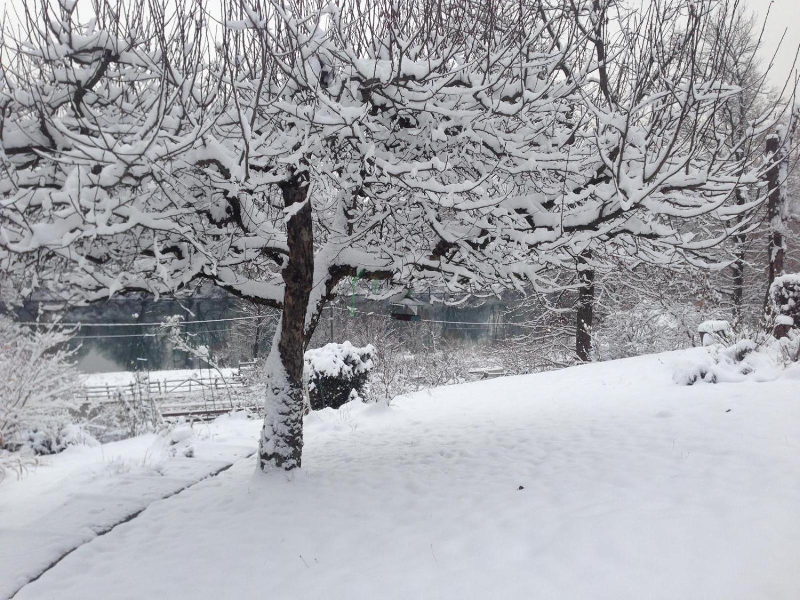 Kuca Suncani Brijeg Pokupsko Bagian luar foto