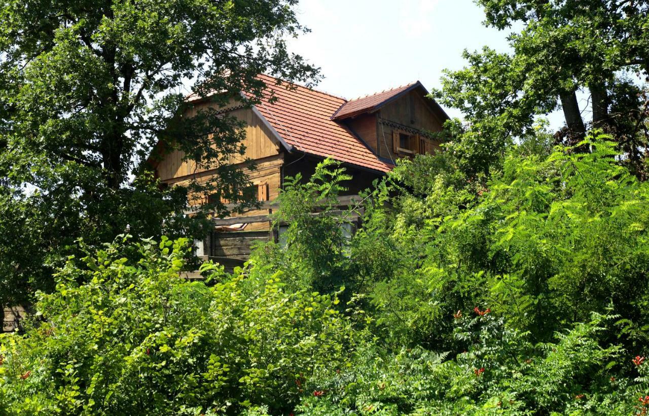 Kuca Suncani Brijeg Pokupsko Bagian luar foto
